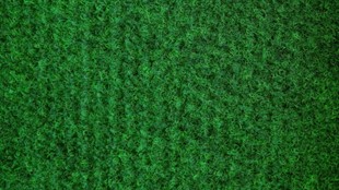 GREEN 20 4m 100x100 6,62 EUR 184384