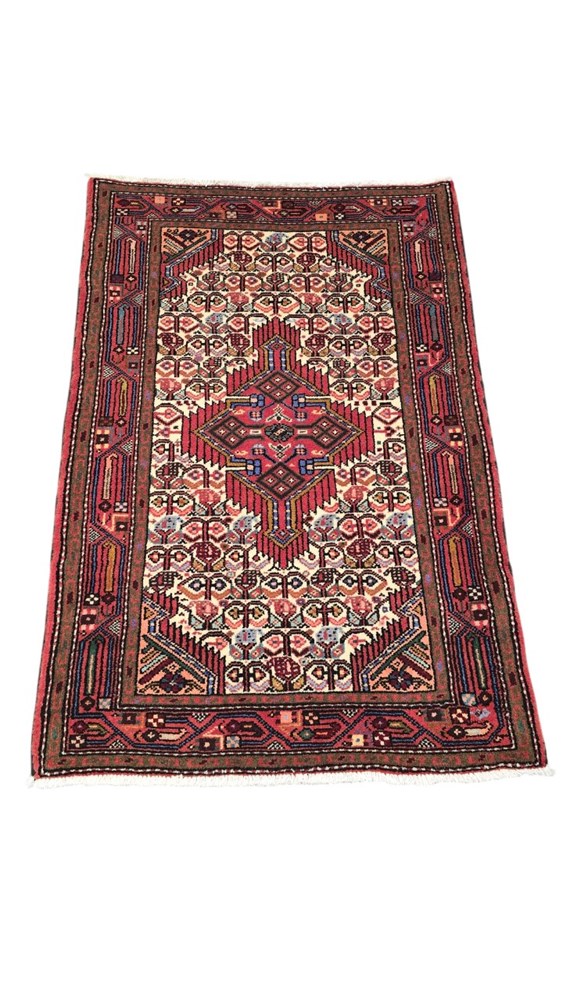 Tepisi ručni rad,Tepisi ručni rad - manje dimenzije HAMEDAN 80x125 290,66 EUR 129061