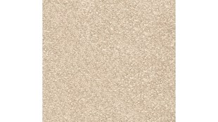 Tapisoni NOBILIS 31 4m 100x100 24,90 EUR 209072