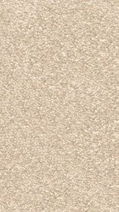 Tapisoni NOBILIS 31 4m 100x100 24,90 EUR 209072